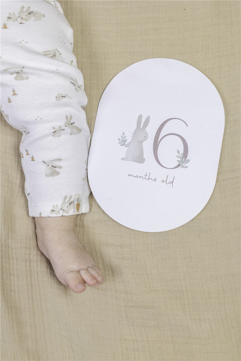 Tarjetas Milestone Baby Bunny Fsc Little Dutch