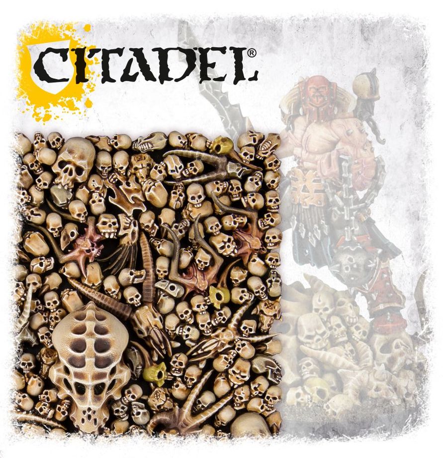 Citadel Minitaturas: Citadel Skulls (Calaveras)