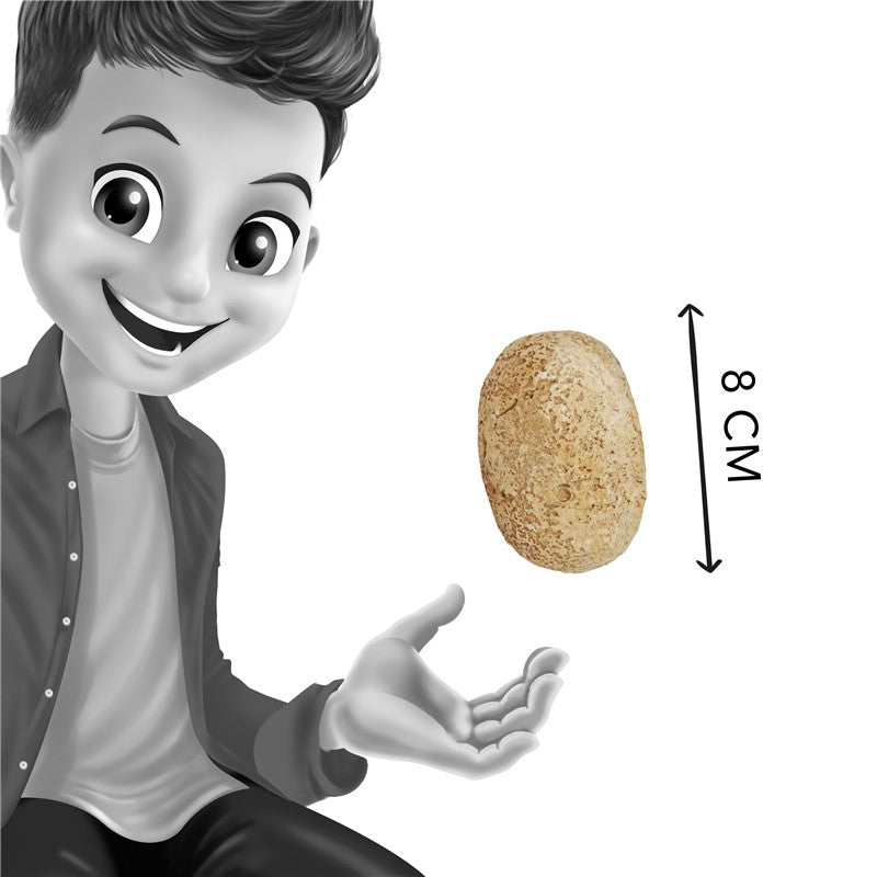 Buki Huevos de dinosaurio