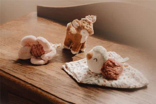 CAJA REGALO FAIRY GARDEN LITTLE DUTCH