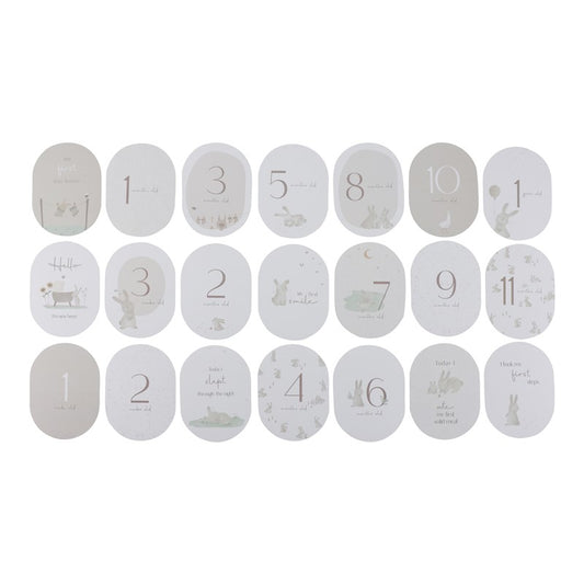 Tarjetas Milestone Baby Bunny Fsc Little Dutch
